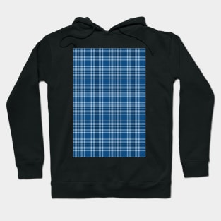 classic blue plaid Hoodie